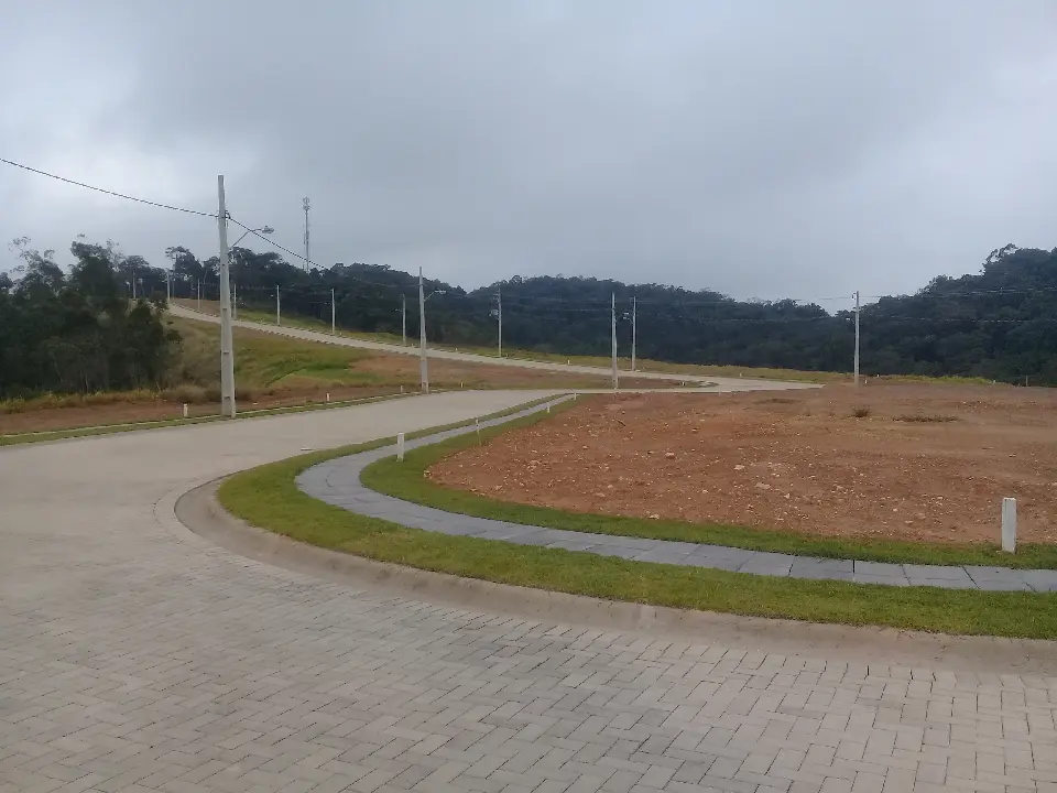 20190829_080522.jpg