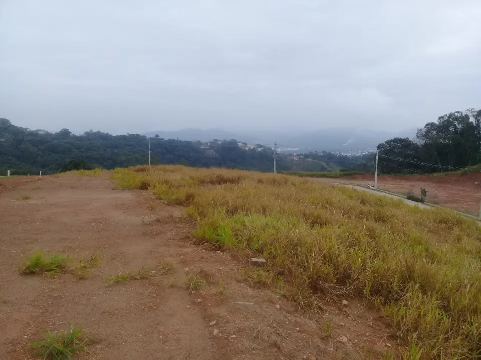 20190829_080619.jpg