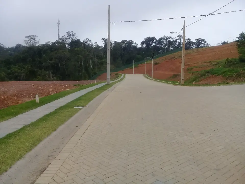 20190829_080319.jpg