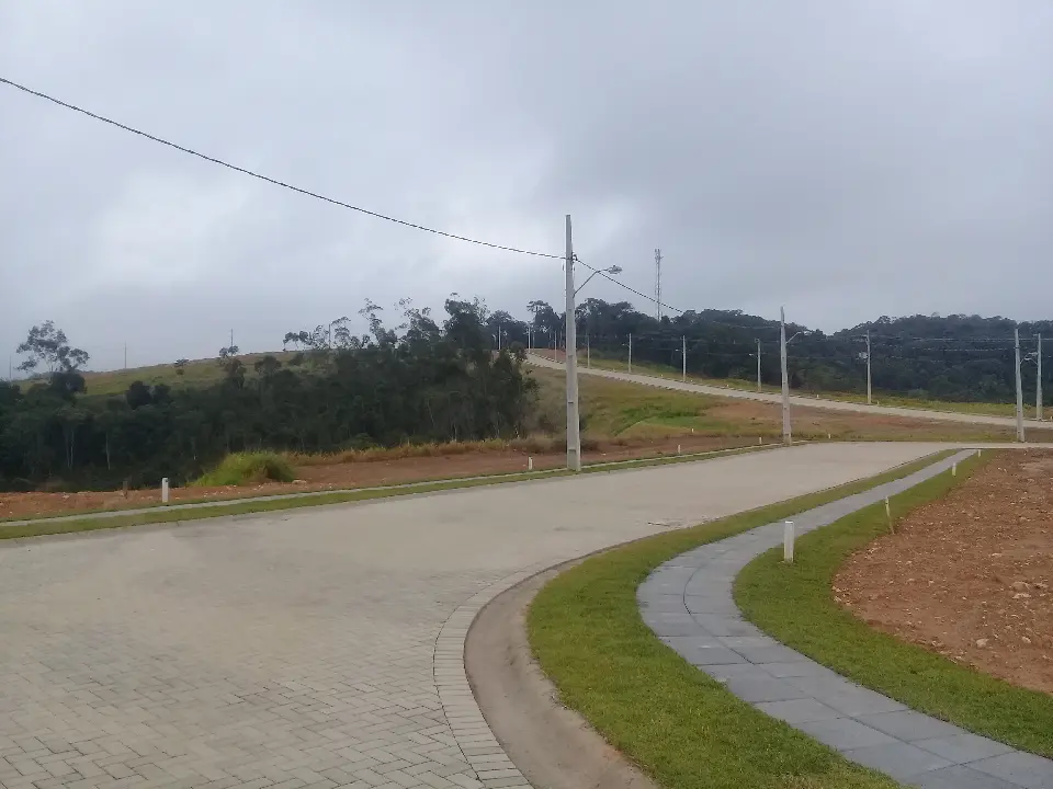 20190829_080546.jpg
