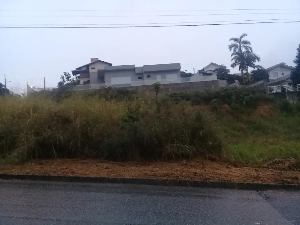 20200610_171548.jpg