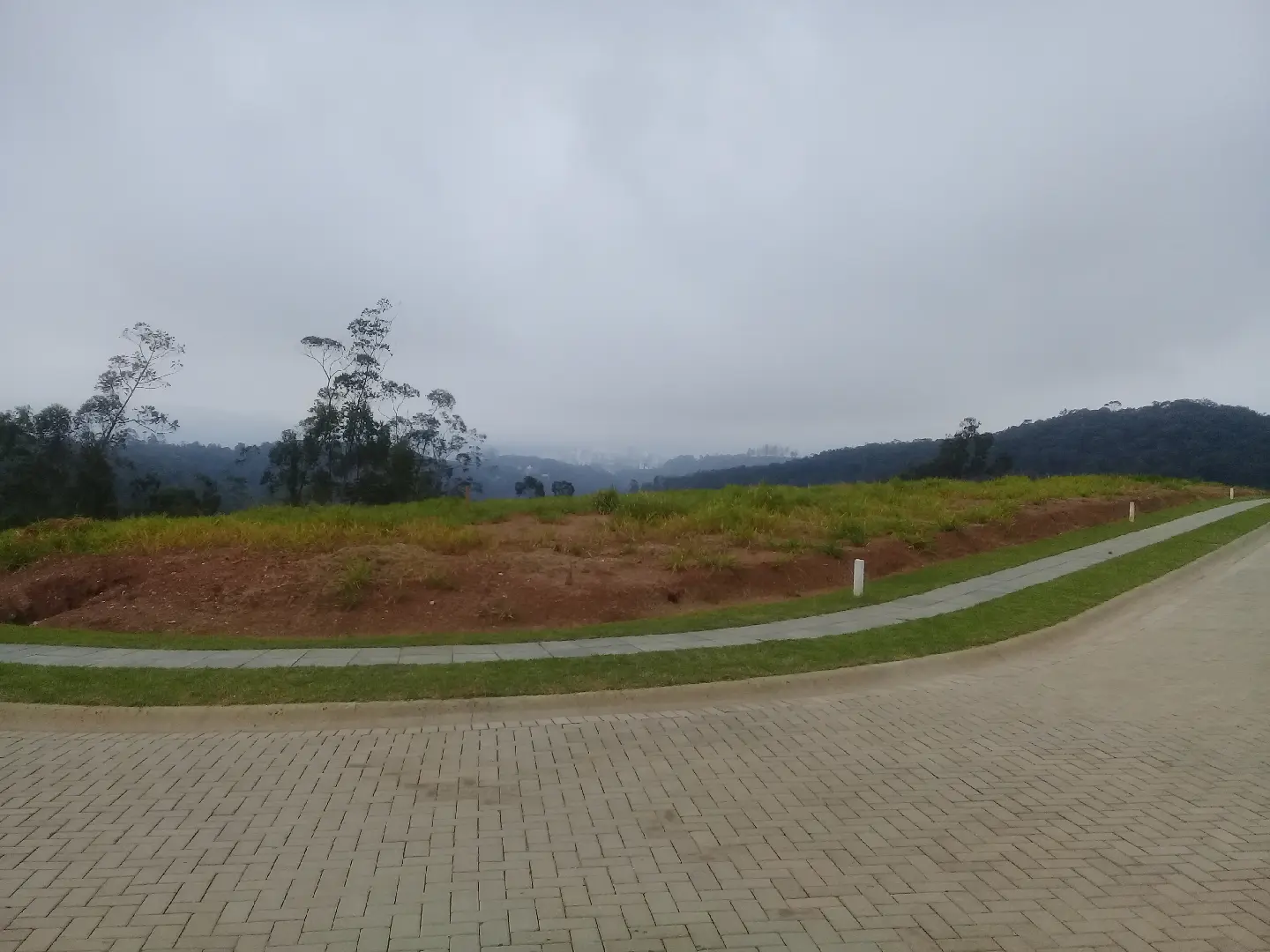 20190829_075912.jpg