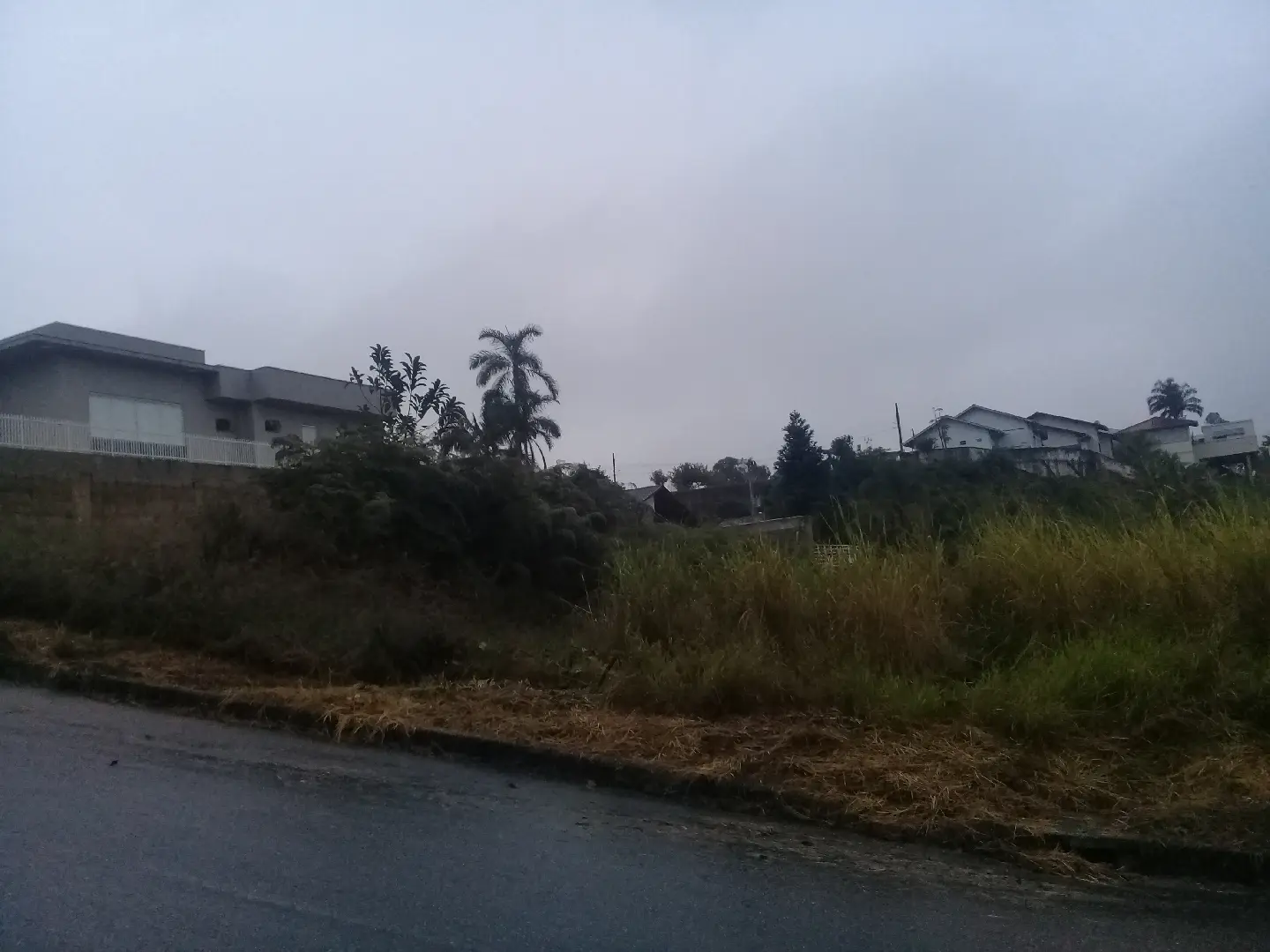 20200610_171505.jpg