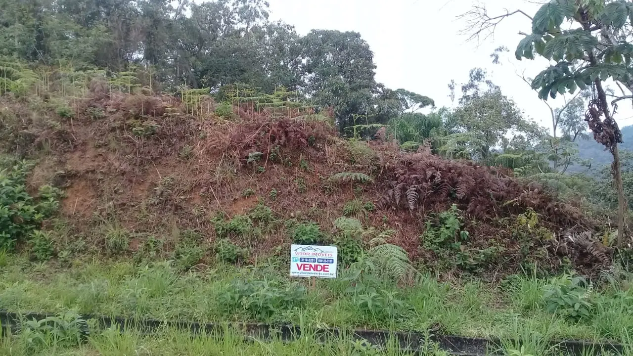 lote 07   1.jpeg
