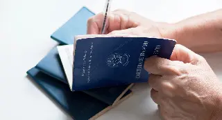 Dados mostram desinteresse por carteira de trabalho registrada