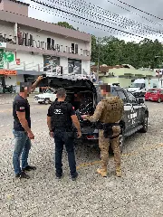 Dois coelhos (ou três) numa "cajadada" só