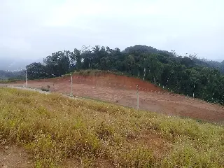 20190829_080616.jpg