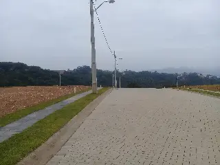 20190829_080541.jpg