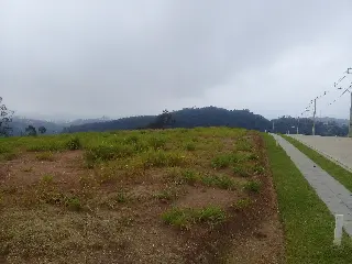 20190829_080130.jpg