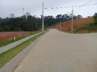 20190829_080319.jpg
