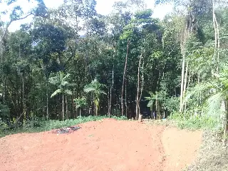 IMG-20200128-WA0012.jpg